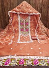 Ds Designer Suit Organza Silk Non Catalog Dress Material Suppliers In India
